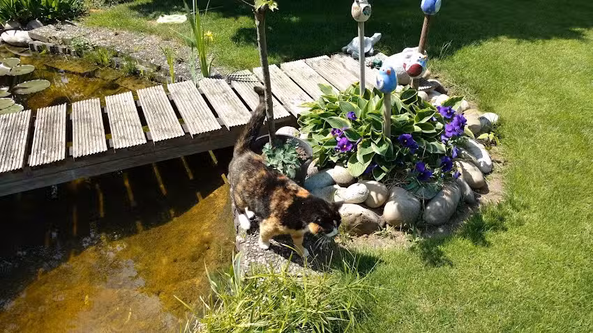 Ferienhaus am Kellbach