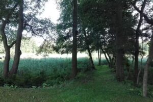 Ferienhaus am Schünsee