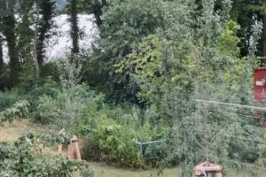 Ferienhaus am See Uckermark