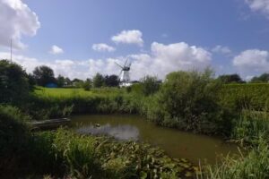 Ferienhaus Auszeit Westerholz