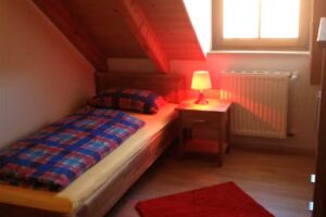 Ferienhaus Bad Buchau