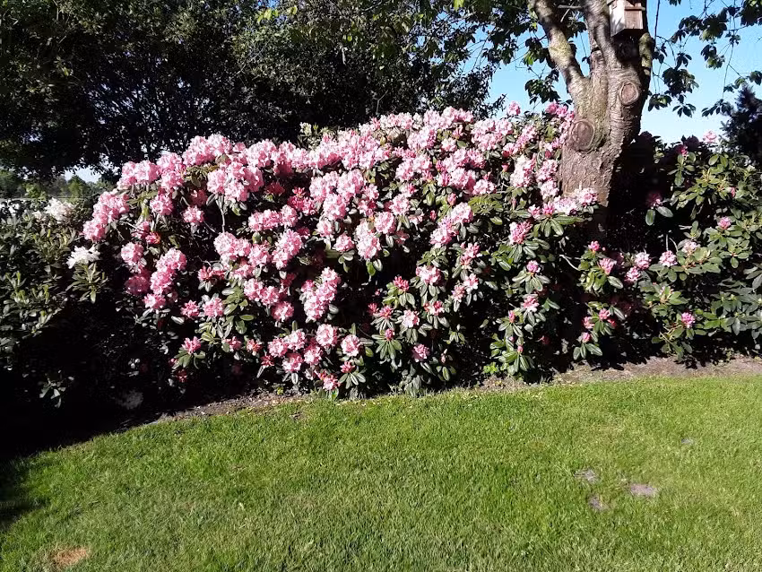 Ferienhaus Bärbel Mammen