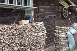 Ferienhaus Blockhütte Austermann