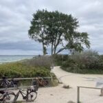 Ferienhaus Boddenblick