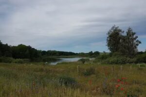 Ferienhaus Buggenhagen