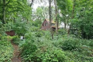 Ferienhaus Designhaus im Wingster Forst