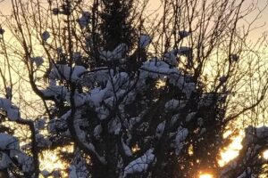 Ferienhaus Eulenhäusle