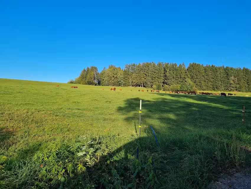 Ferienhaus Falkenstein