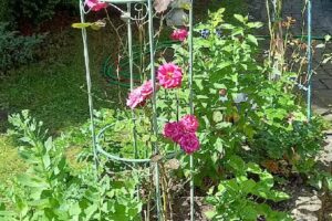 Ferienhaus & Ferienwohnung Am Luisenblick