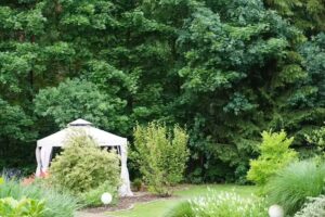 Ferienhaus/ Ferienwohnung Budde