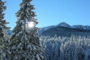 Ferienhaus Ferienwohnung Oischinger/Zwink Oberammergau