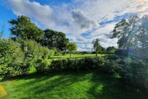 Ferienhaus Ferienwohnung Uferschwalbe Garz Rügen