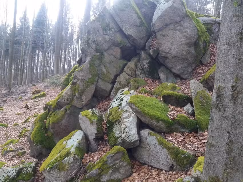 Ferienhaus Feuerzauber