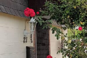 Ferienhaus Finkennest