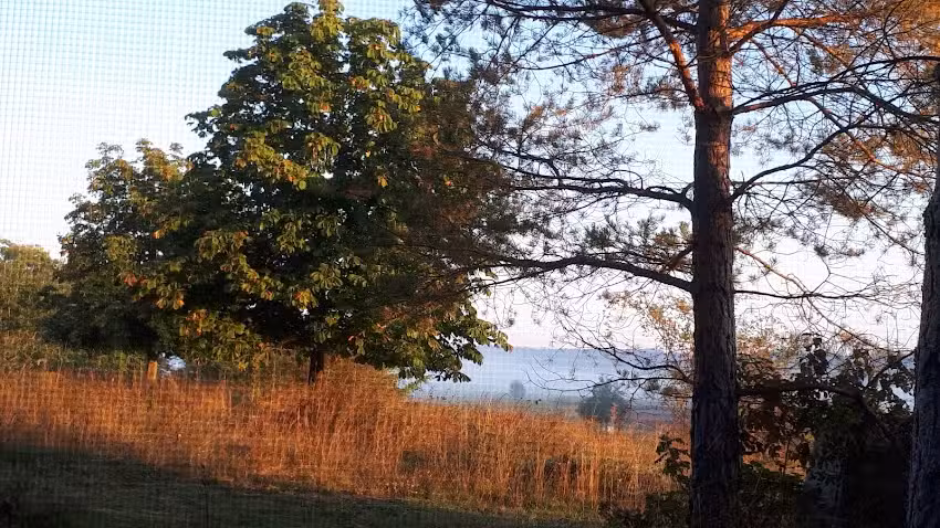 Ferienhaus Gleissbuck