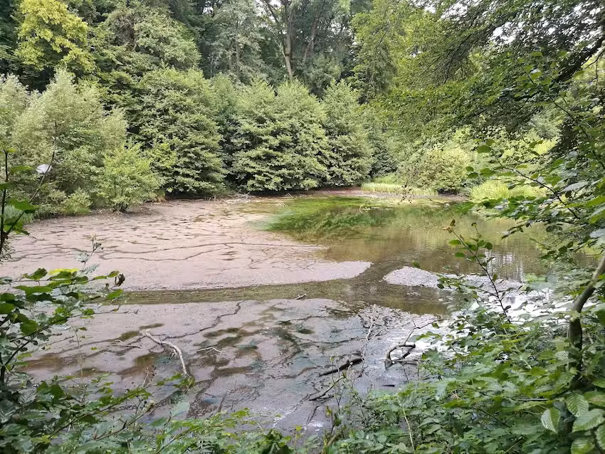 Ferienhaus Harzsonne in Blankenburg Harz