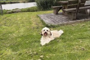 Ferienhaus Helserdeich