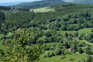 Ferienhaus „Hütte am Hermannsberg“