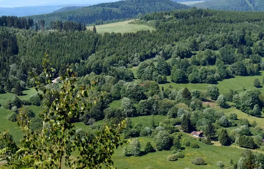 Ferienhaus „Hütte am Hermannsberg“