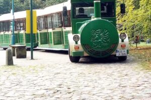 Ferienhaus in Binz Familie Schneppe