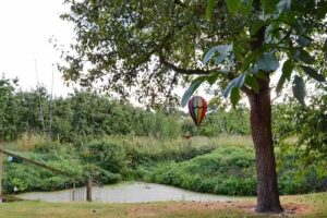 Ferienhaus Johann Massow