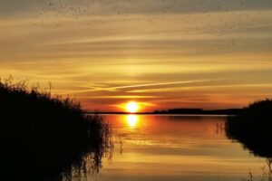 Ferienhaus Kirschblüte