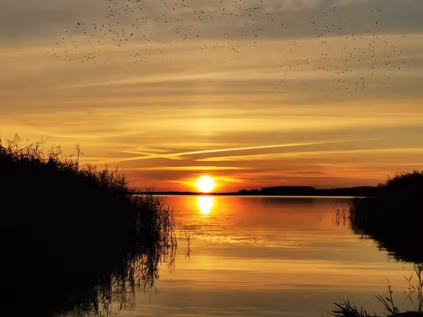 Ferienhaus Kirschblüte