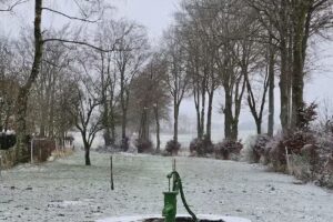 Ferienhaus Kirschblüte