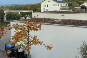 Ferienhaus Lehmättle