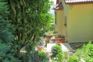 Ferienhaus Lindenallee 14