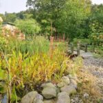 Ferienhaus Losten