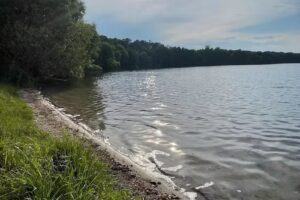 Ferienhaus Luzinferien