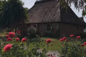 Ferienhaus Min lütt Huus