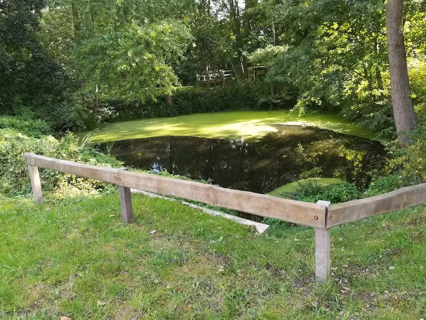 Ferienhaus „Moin Moin“