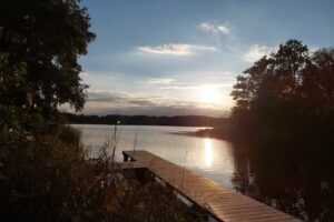 Ferienhaus Möwe Nr. 215