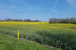 Ferienhaus Noor und Meer