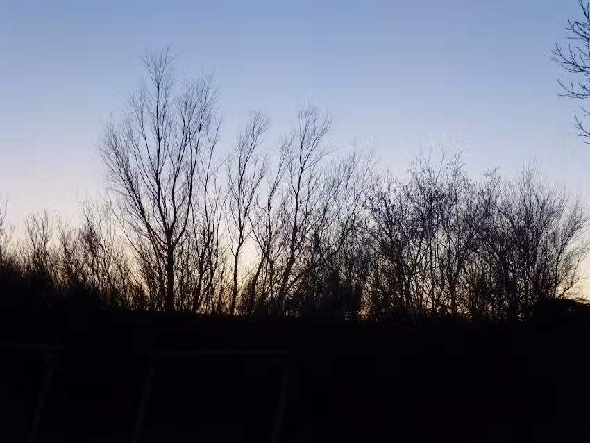 Ferienhaus- Nordlicht