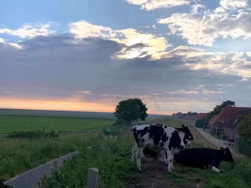 Ferienhaus Ockenfels – Chalet am Wattenmeer