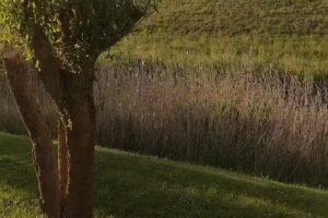 Ferienhaus Ossi’s Friesenhus I