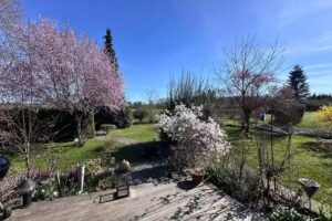 Ferienhaus Ostseesprung