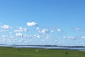 Ferienhaus Papageientaucher