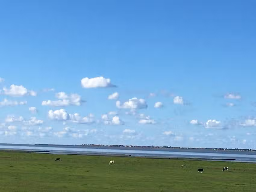 Ferienhaus Papageientaucher