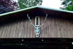 Ferienhaus Preßenhof