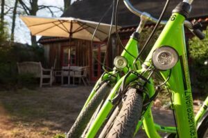 Ferienhaus Rohrdommel