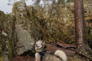 Ferienhaus Rübezahl