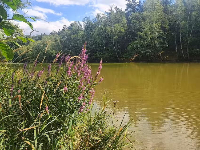 Ferienhaus Sabine Scheffel – Achtelstädter