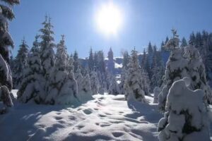 Ferienhaus Sauerzapf