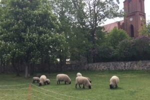 Ferienhaus Schäferhof Hiller