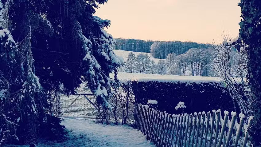 Ferienhaus Schievelbein