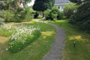 Ferienhaus Schlangenkiefer